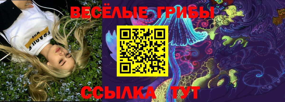 Псилоцибиновые грибы прущие грибы Ижевск